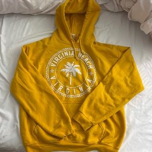 Gildan Virginia Beach hoodie